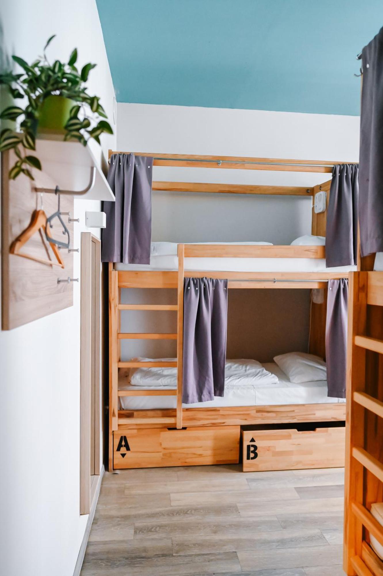 Albergue Dream